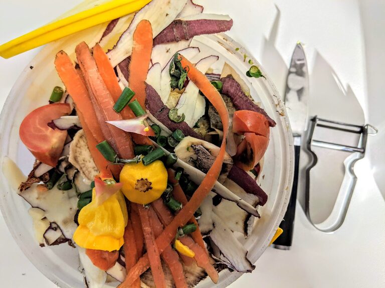 Practical Ways to Reduce Food Waste at Home Every Day