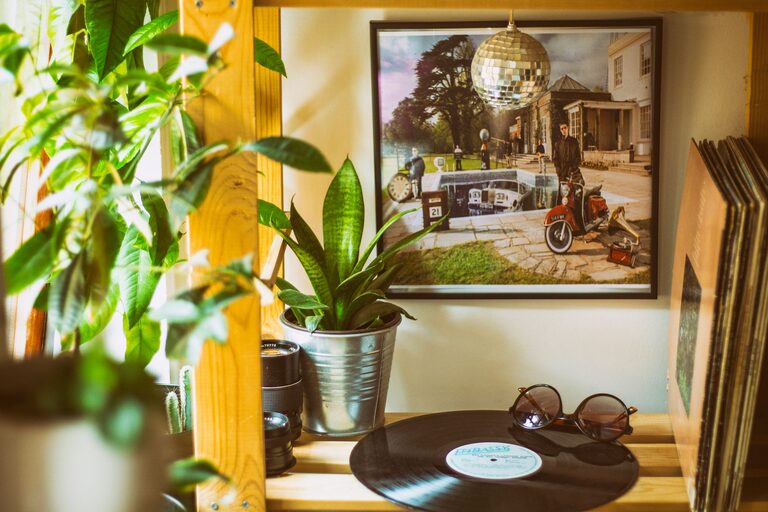 How to Refresh Your Home with Plants: Simple Tips for a Greener Space